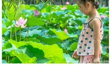 爷爷家门前的荷花池