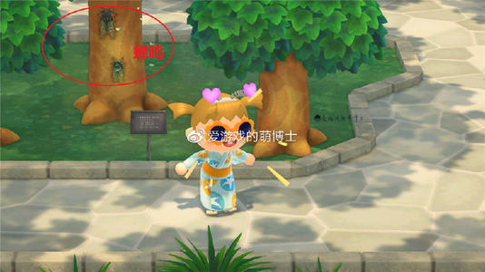 防lim猴
