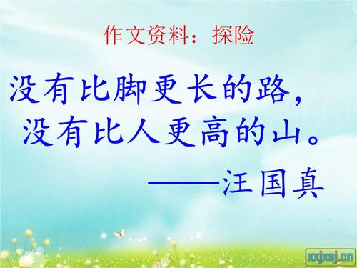 五年级作文的神奇冒险