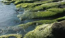 一举一动自成风景