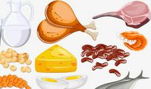 肉和蔬菜的辩论