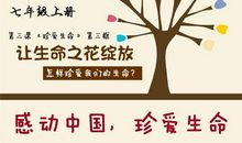 让生命之花永远绽放