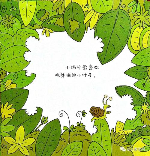 蜗牛和乌龟