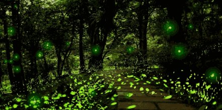 萤火虫在城市