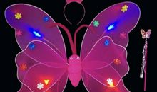 蝴蝶的翅膀是彩色的吗？