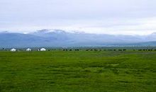 诺尔盖草原印象