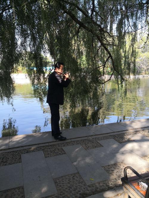 为什么不停下来欣赏