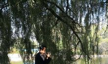 驻足欣赏又何妨