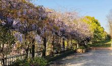 来自春姑娘的礼物