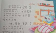 生活是很好玩的读后感