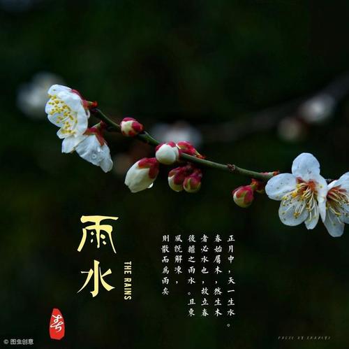 我赞扬春雨
