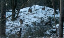 大年三十的见闻