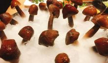 美食满堂关不住