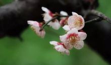 点滴小事中的温暖