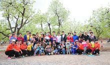 春游植树
