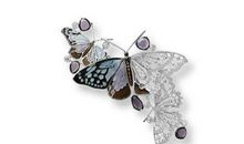 另一种生命的诠释