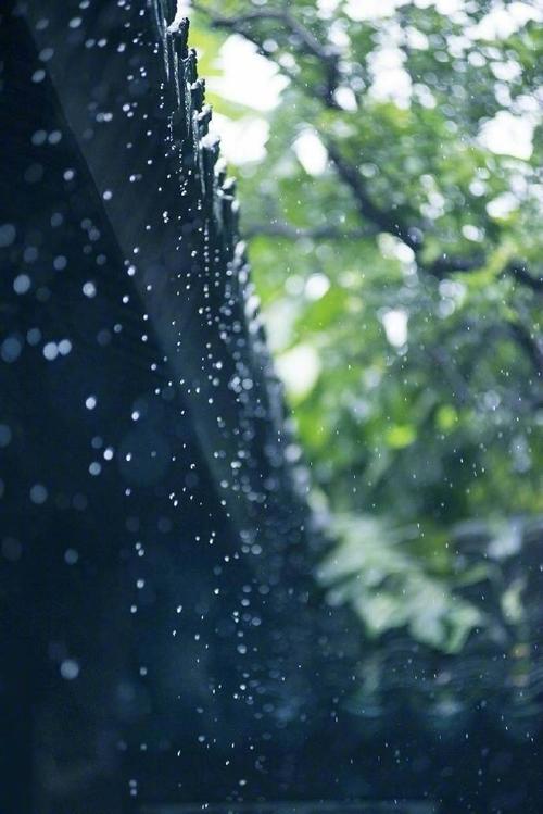 滴水直到黎明