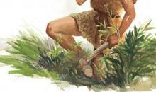 小鹿阿姨，我相对您说