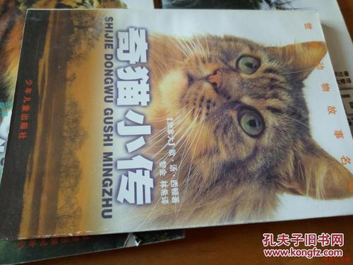 关于阅读《丛林虎吼》的思考