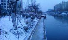 冬日的第一场雪