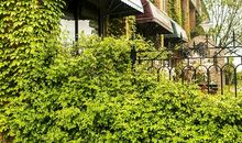 我们现代人谈创新