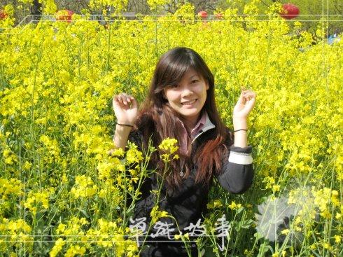 骄傲的油菜