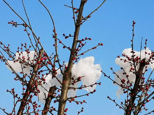 雪中​​的乐趣