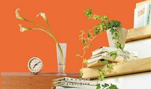 一点儿进步一种人生