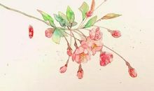 运动场上那一抹光辉的色彩