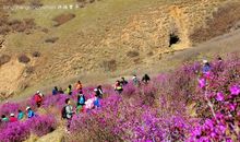 春天的桃山公园