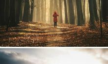 令人尊敬的风景