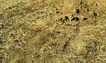 沿着你的脚印前行