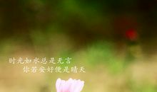 读《你若安好，便是晴天》有感