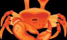 一只小小的螃蟹