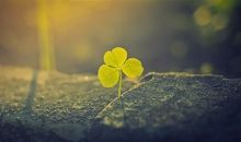 拥有平凡也是一种幸福