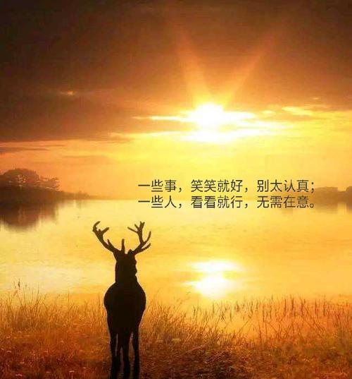 生活起伏