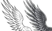 青春的黑白羽翼