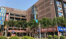 在体育世界中的感悟