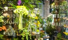 我梦想着我的芬芳