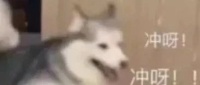 我赢了