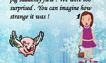 一次难忘的阅读经历