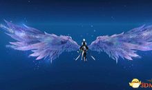 飞翔不需要华丽的翅膀