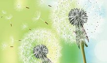 愿从本心清风自来