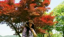 守住这一点时光