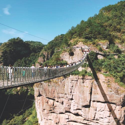 飞龙木板路