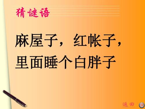 花生，我想告诉你300字的作文