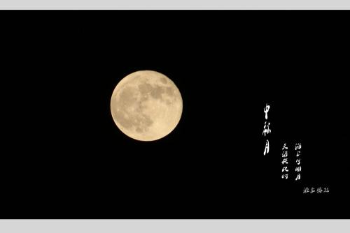 爱中秋月
