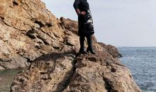 友谊让生活更精彩