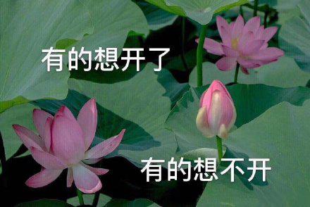 心情好的力量