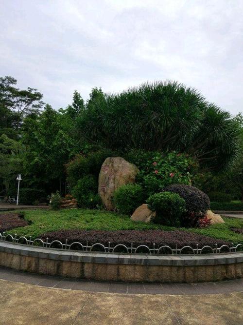 口琴徘徊在耳边